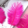 Piokio Piokio 20 pcs Fuchsia Ostrich Feathers Plumes 8-10 inch(20-25