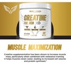 Maverick Nutrition Creatine Powder for Men - Creatine Powder -