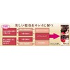 Salon de Pro Hair Manicure Speedy 5A Ash Brown 100g