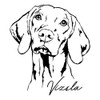 Spreadshirt VIZSLA Hunting Dog Dog Breed Sticker, 10 x 10
