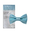 Men's Plain Color Pre-tied Bow Tie and Pocket Square Set