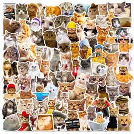 LIFEBE Pack of 100 Cute Cat Stickers, Funny Cute Internet Cat Stickers for Teenagers, Adults, Waterproof Vinyl Stickers for Laptop, Water Bottles, Scrapbooking, Folders, Laptop