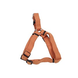 Coastal - New Earth Soy - Adjustable Dog Harness, Pumpkin, 1" x 26"-38"