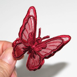 SUNMOVE 10pcs Embroidery Butterfly Sew Iron On Patch Badge Wedding Bridal Dress Embroidered Applique Sewing Craft DIY (Red, 1.96 x 1.96inch)