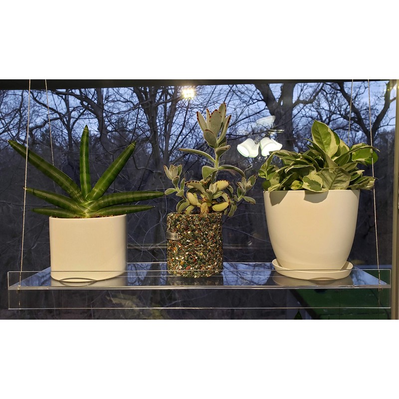 SupremeTech Hanging Acrylic Shelves for Windows (22" Wide, 4 Shelves