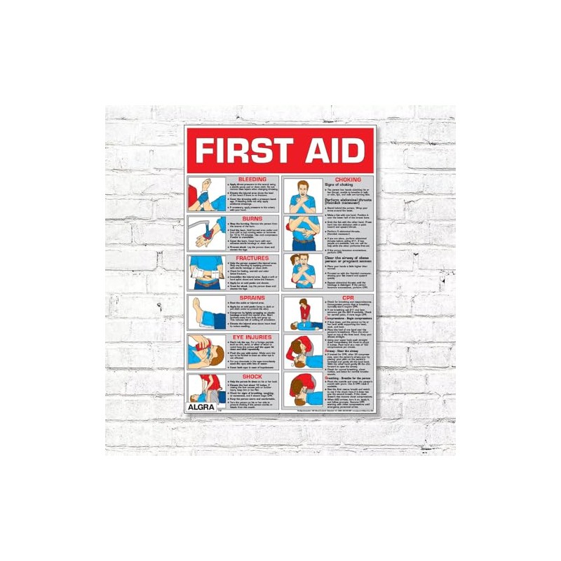 First Aid Laminated Poster 24" X 36"