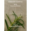 AROMATICA Rosemary Scalp Scaling Shampoo and Conditioner Set 13.53 fl.oz