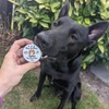 Paw to Paw Dog Paw Butter (30ml) Natural Lick Safe