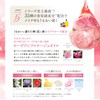 Evolution Foundation, Everlife, Bi, Koujun Perfect, Mesh Dobote, High Cover,