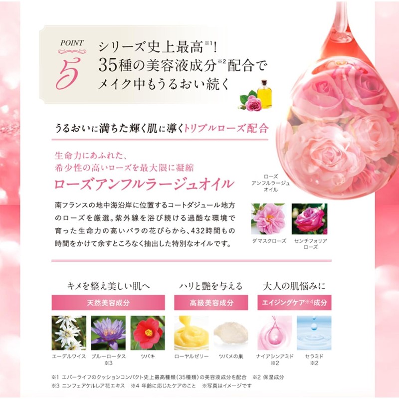 Evolution Foundation, Everlife, Bi, Koujun Perfect, Mesh Dobote, High Cover,