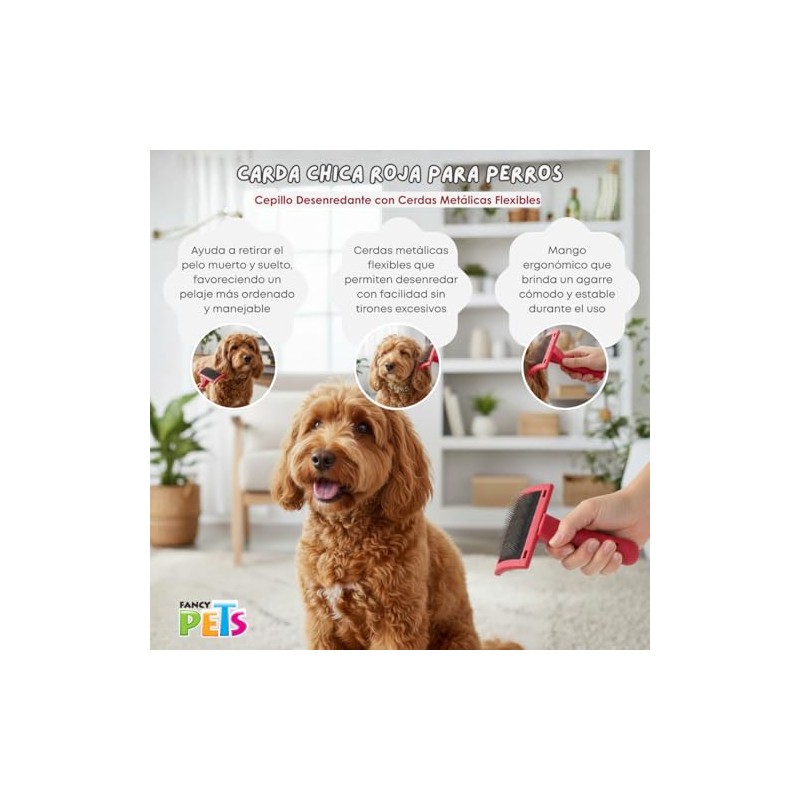 Fancy Pets Carda Expert para Perro y Gato Tamaño Chico