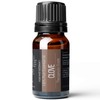 Pure Body Naturals Clove Bud Essential Oil, 10 ml -