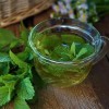 Fairy7Seas Lemon Balm Seeds - Melissa officinalis - Honey Plant