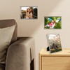 DMSELL Pack of 2 15 x 20 Silver Picture Frames,