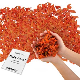 Dried Flower Yellow Lily Biodegradable Confetti - Flower Petals for Weddings, Flower Girl Toss, Wedding Send Off Ideas, Party Table Decoration | Boxed - 8oz (0.5lbs)