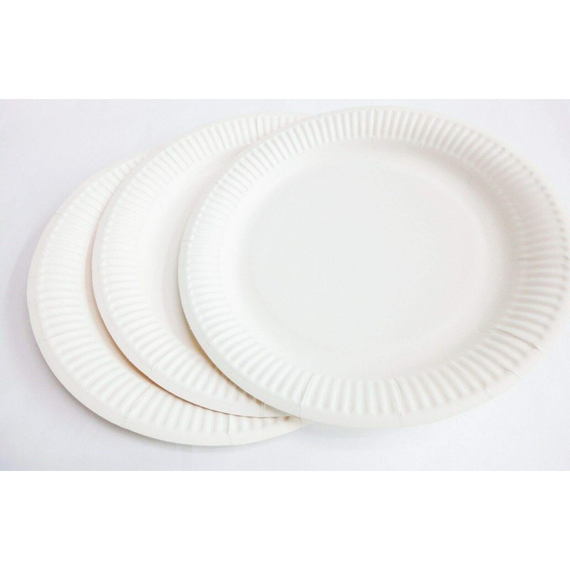 HOT BARGAINS 100 X 9 Inch Disposable Paper Plates for