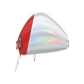 Daiwa DSPM15F10 Daiwa Salt Pro,Laser Red Head