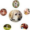 3 Pieces Dog Toy Ball 5cm Treat Dispenser Ball Toy,Teeth