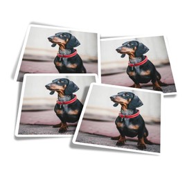 Vinyl Square Stickers (Set of 4) 10cm - Dachshund Dog Black Red Collar for Laptops, Tablets, Luggage, Scrap Booking, Fridges #63077