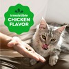Greenies Feline Smartbites, Cat Treats Healthy Recipe, Indoor Cat Treats,