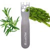 Stainless Steel Leaf Herb Stripper, LooseLeaf Kale, Chard, Collard Greens