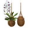 PANWA Handmade 100% Thai Bamboo Super Sanctuary Hanging Orchid Basket