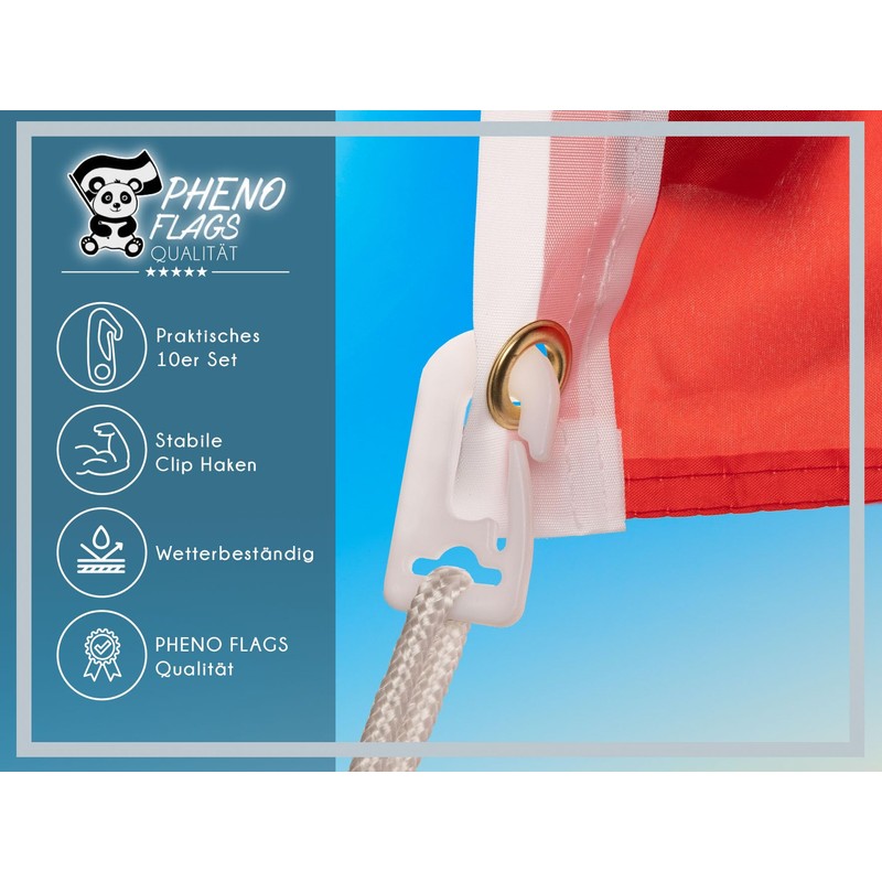 PHENO FLAGS Carabiner Flag Hooks Set of 10 – Easy