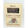 Pinyon Pine #25 Incense Log Cabin Cones Paine's Maine USA
