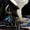 D&D Icons of The Realms: Adult White Dragon Premium Figure