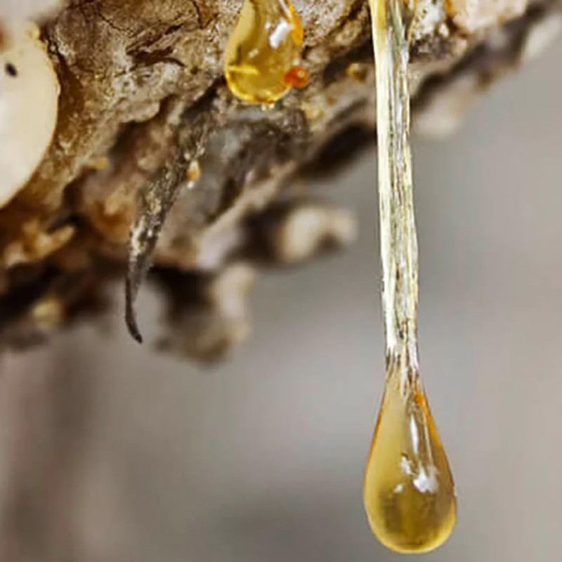 Aromatics International Aromatics International Peru Balsam Oleoresin 15ml