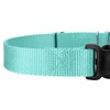 Country Brook Petz Heavy Duty Nylon Adjustable Martingale Dog Collar