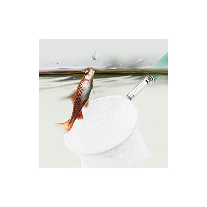 Red De Aterrizaje De Pesca Acuario Telescópico Red De Camarones