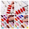 Acycion2A 308 nail display chart with 360 false nail tips