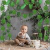 HIYZI 47 Pcs 20 ft Jungle Theme Party Decorations Set