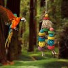 YFFSFDC Parakeet, Parrot Toy, For Birds, Stress Relief, Exercise, Large,