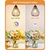 EDISHINE Vintage LED Edison Bulbs 8W, 60W Equivalent, 2200K Amber
