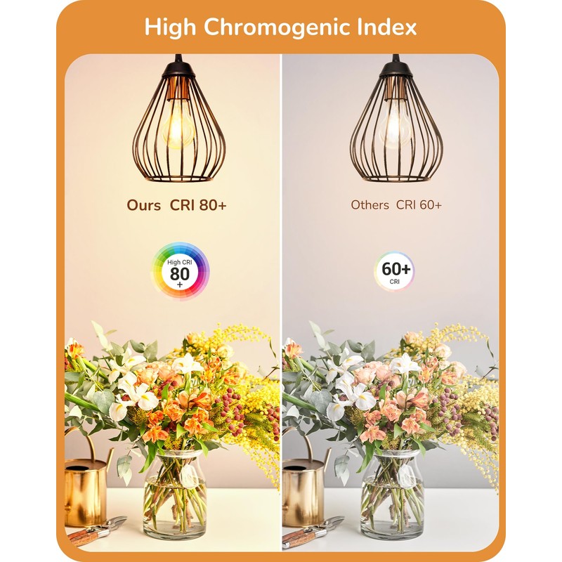 EDISHINE Vintage LED Edison Bulbs 8W, 60W Equivalent, 2200K Amber