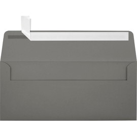 #10 Window Envelopes (4 1/8 x 9 1/2) - Smoke (50 Qty) | Perfect for Checks, Invoices, Letterhead, Letters, Statements | LUX-4860-W22-50