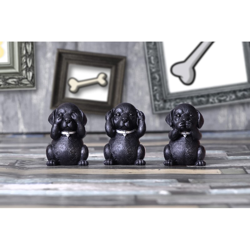 Nemesis Now Three Wise Labradors, Black, 8.5cm,B5881V2