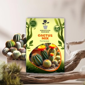 Seeds Cactus Mix 50+ Seeds to Grow Cacti Indoor and Outdoors