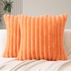 JOTOM Set of 2 Double-Sided Faux Fur Plush Cushion Covers