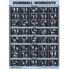 Palace Learning Dumbbell Workout Exercise Poster [Dark] (LAMINATED, 18" x
