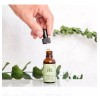 Aceite De Orégano, Ore, 30 Mls Gotero Individual Sabor Orégano