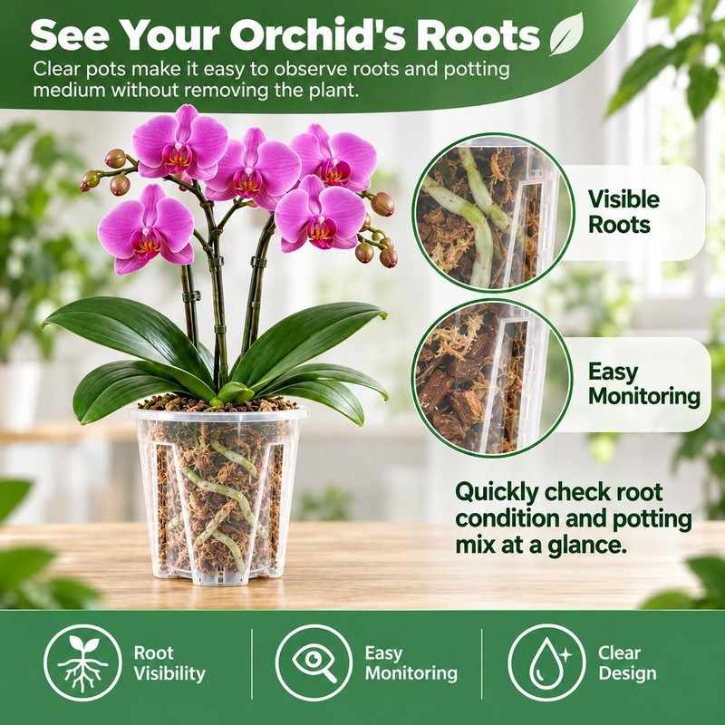 Clear Orchid Pots, 4 inch, 10-Pack