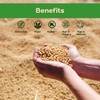 Sincerely Nuts Roasted Soybeans Unsalted (2 LB) Gluten-Free - Vegan