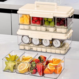 MineSign 2Pack Ice Chilled Condiment Caddy with 4 Removable Containers Taco Ingredient Server with Lid Cooled Garnish Caddy Tray for Taco Mimosa Bar Sauce Fruits&Veggies Beige