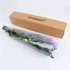 DTXMOH Shower Plant, 67 Stems Dried Eucalyptus and Lavender Bundle
