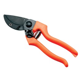 AUSONIA 31134 Vine 5 Pad Professional Scissors 21 cm Orange