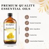 EUQEE Helichrysum Essential Oil 4 oz/118 ml Large Bottle Premium