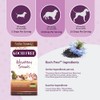 Amber NaturalZ Kochi Free Herbal Supplement for Dogs, Cats, Birds,